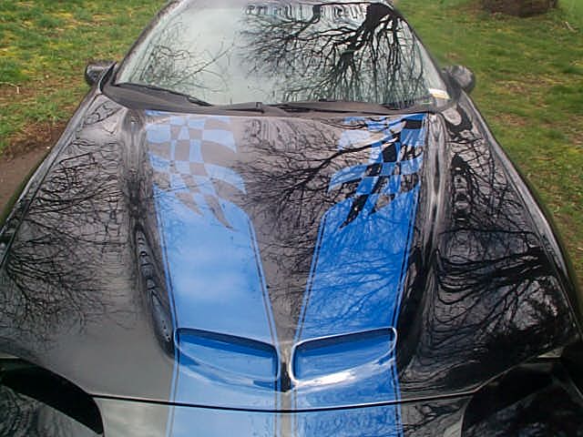 Zhawk's Zhawk for sale 95 z28 camaro custom Camaro5 Chevy Camaro Forum Zhawk's Zhawk for sale 95 z28 camaro custom Camaro5 Chevy Camaro Forum